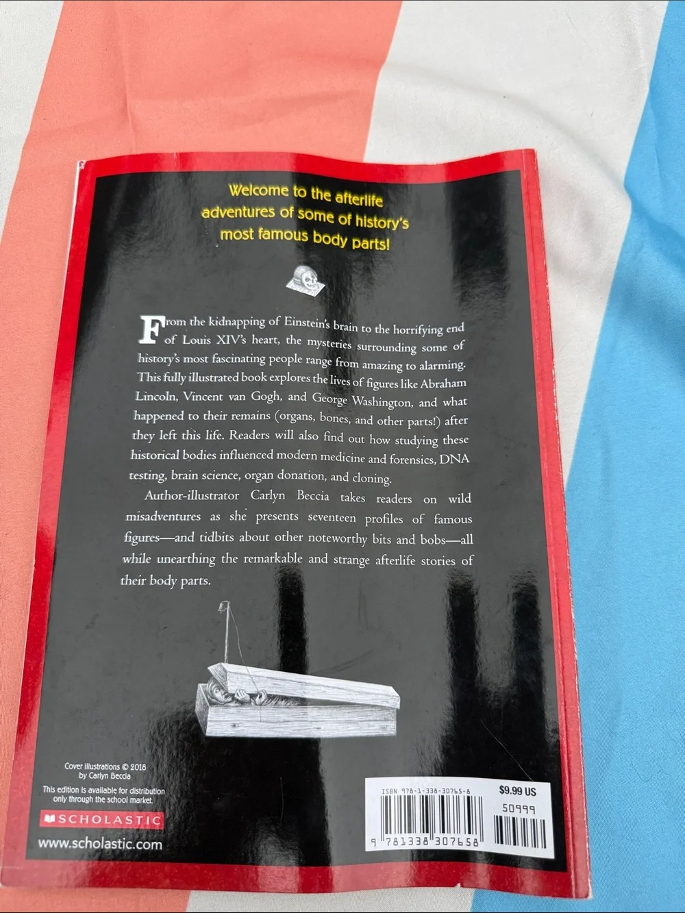 They lost their heads-paperback book